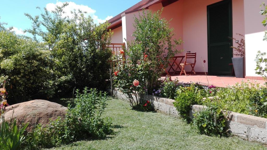 Agriturismo Collelungo Di Maremma Diaccialone Exterior foto